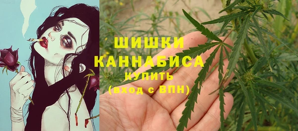 дурь Вяземский