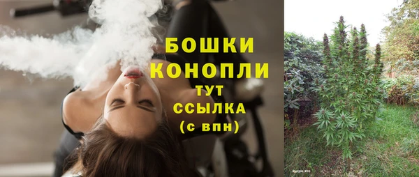 СК Волосово